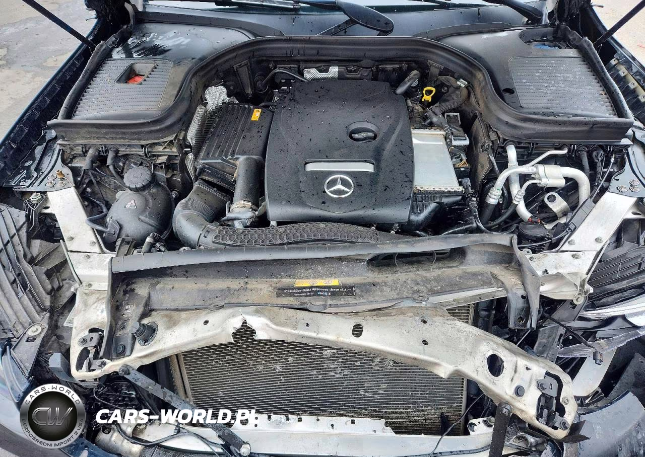 2019 Mercedes-Benz Glc Coupe 300 4Matic VIN:WDC0J4KB2KF544447 - 12