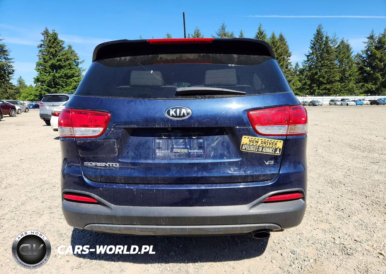 2017 Kia Sorento Lx V6 VIN:5XYPGDA58HG335363 - 6