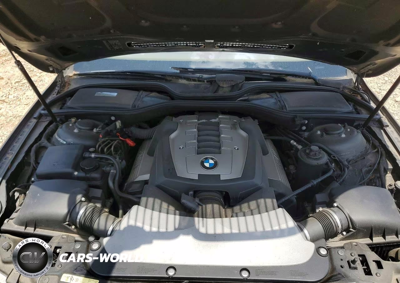 2006 BMW 750 Li VIN:WBAHN83576DT29920 - 11