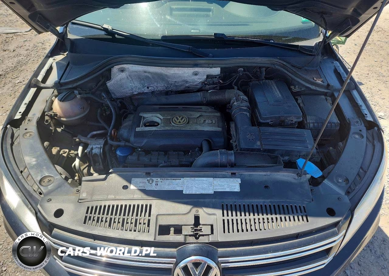 2013 Volkswagen Tiguan S VIN:WVGBV7AX6DW532611 - 12