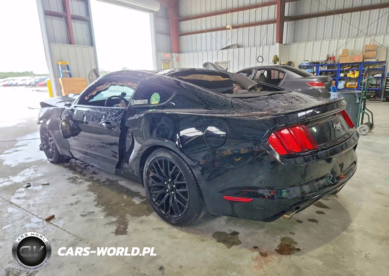 2017 Ford Mustang VIN:1FA6P8TH2H5289750 - 2