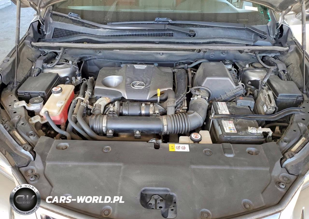 2018 Lexus Nx 300 F Sport VIN:JTJBARBZ0J2165362 - 11