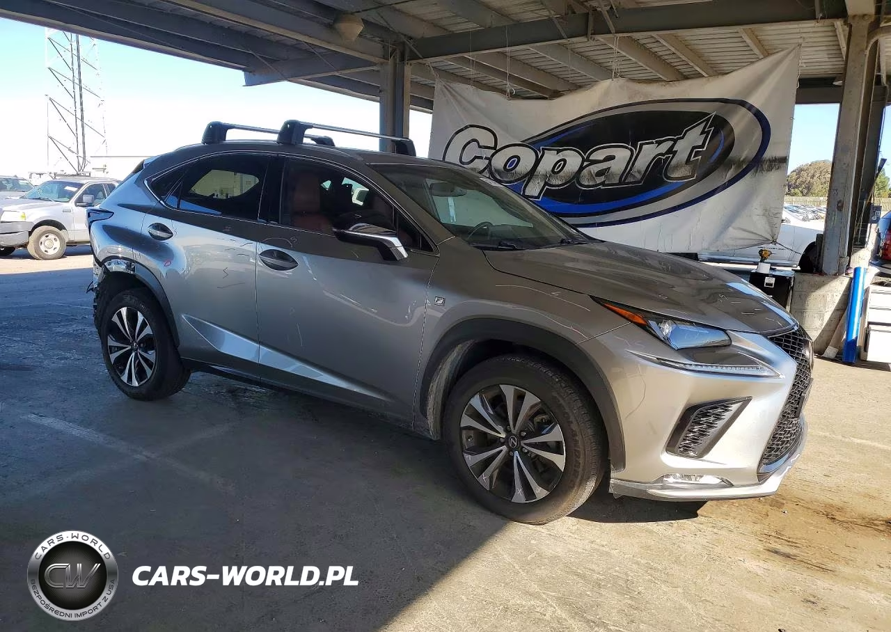 2018 Lexus Nx 300 F Sport VIN:JTJBARBZ0J2165362 - 4