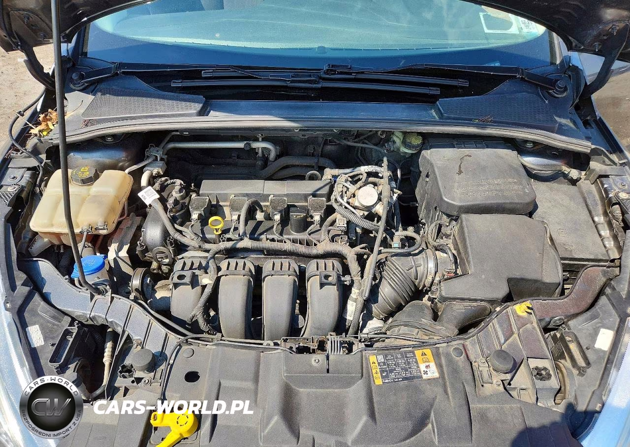 2016 Ford Focus Se VIN:1FADP3K21GL354458 - 11