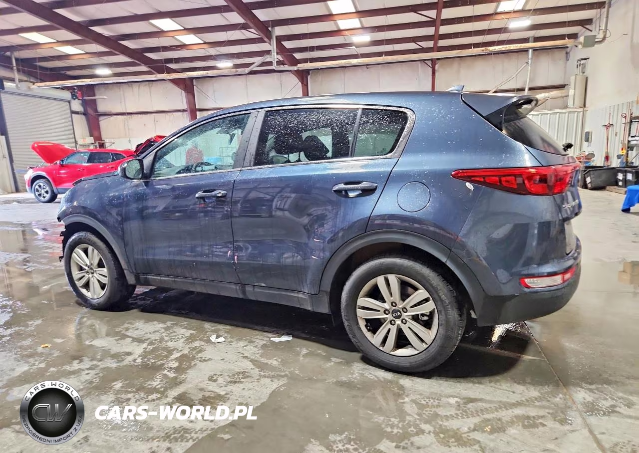 2019 Kia Sportage Lx VIN:KNDPM3AC8K7599379 - 2