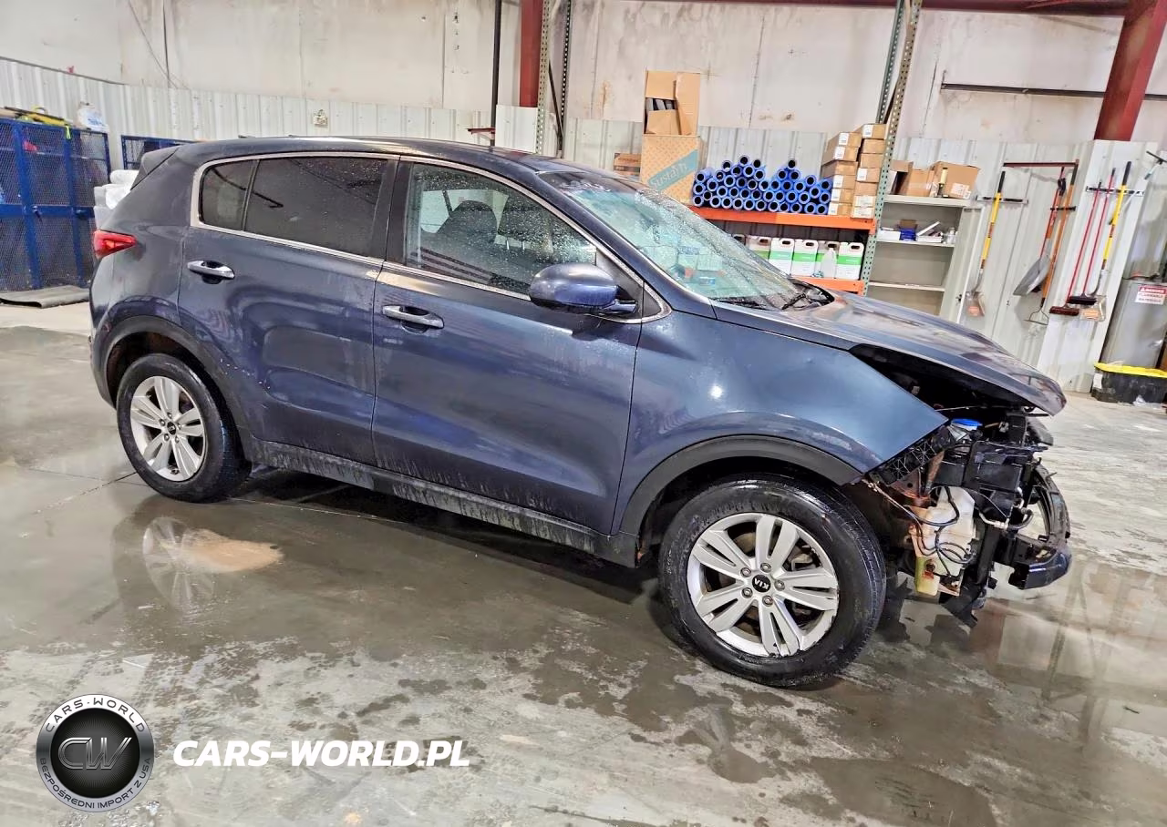 2019 Kia Sportage Lx VIN:KNDPM3AC8K7599379 - 4