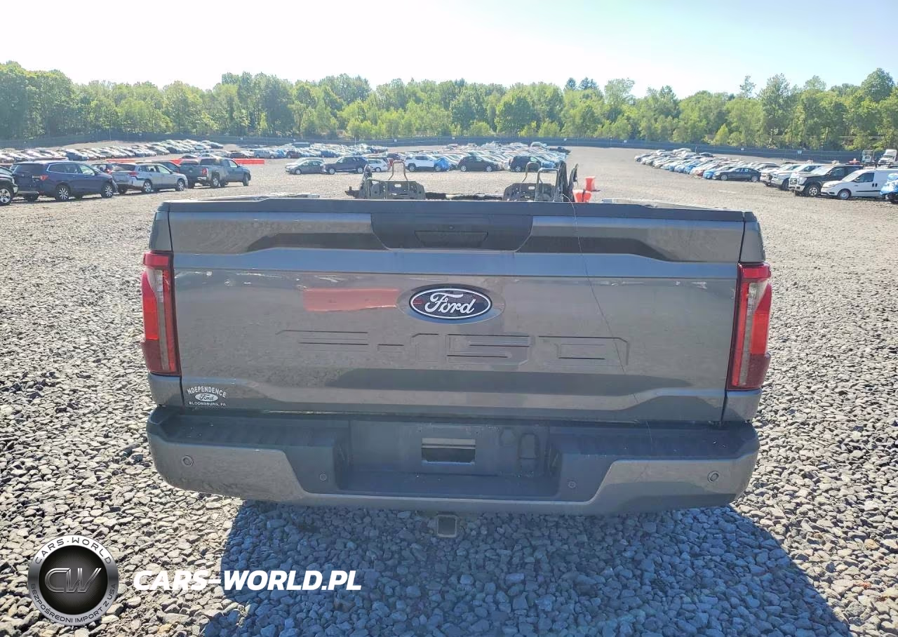 2025 Ford F150 Stx VIN:1FTEW2LP8SKE07225 - 6