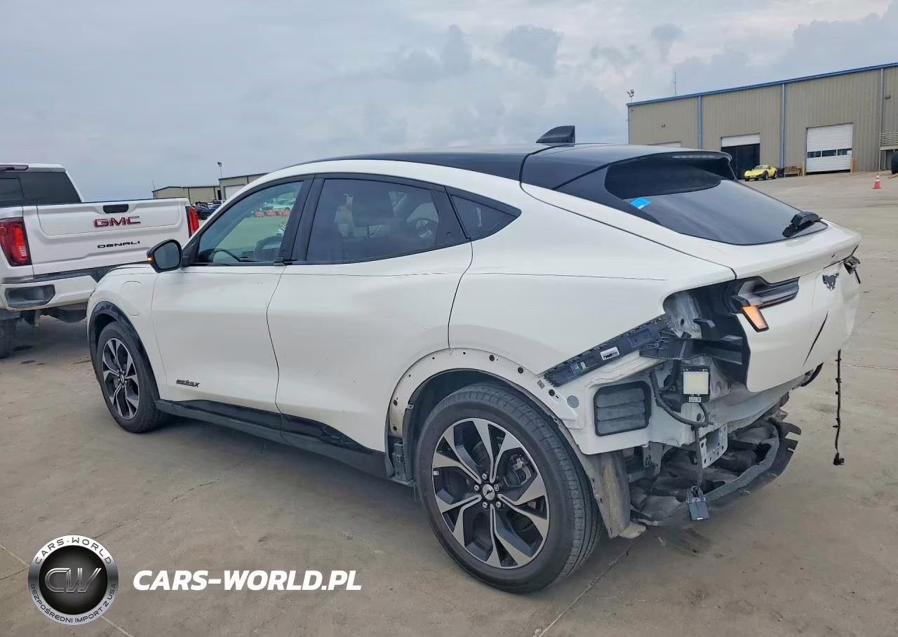 2021 Ford Mustang Mach-E Premium VIN:3FMTK3SUXMMA56552 - 2