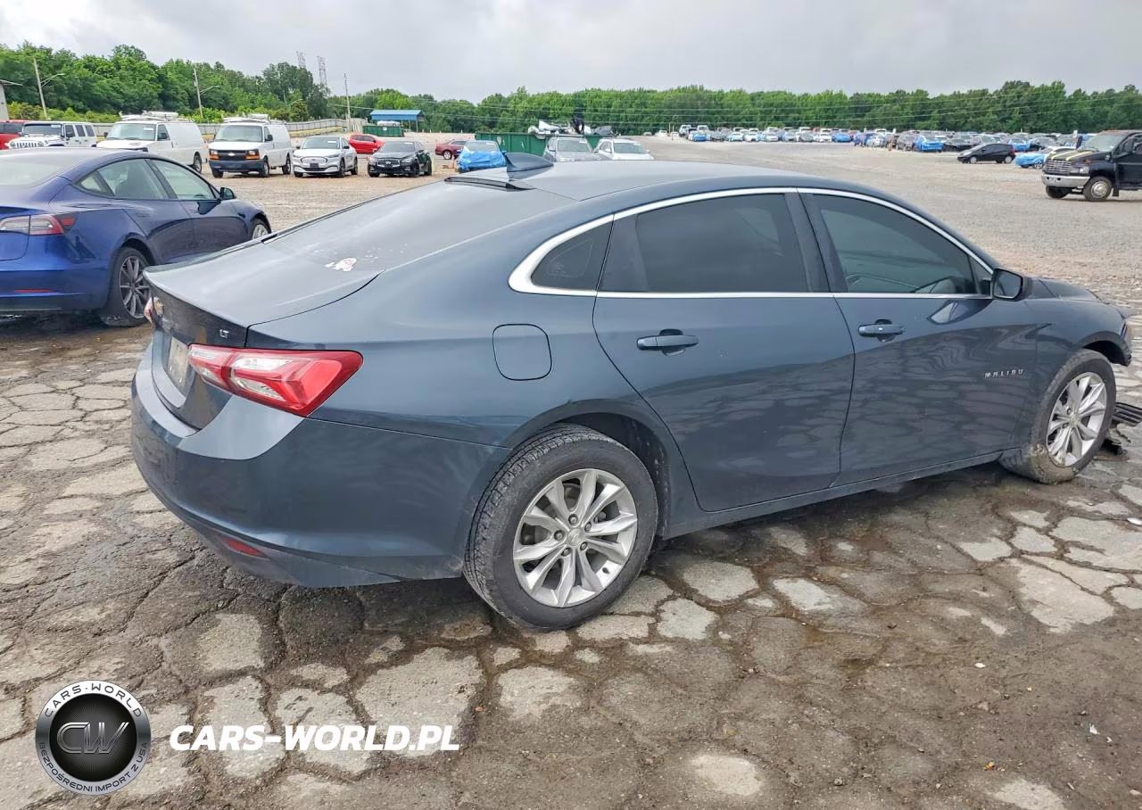 2019 Chevrolet Malibu Lt VIN:1G1ZD5ST4KF139363 - 3