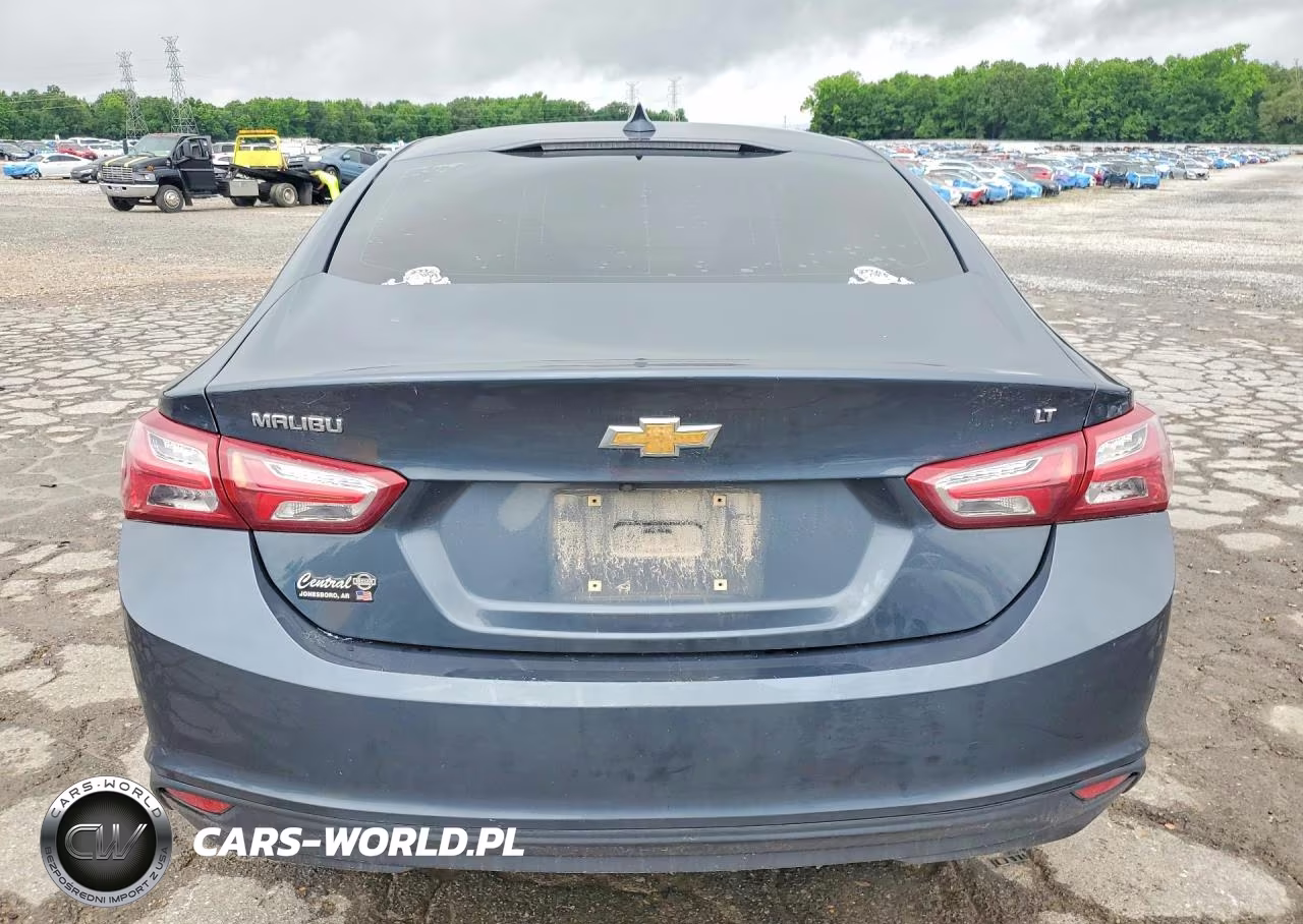2019 Chevrolet Malibu Lt VIN:1G1ZD5ST4KF139363 - 6