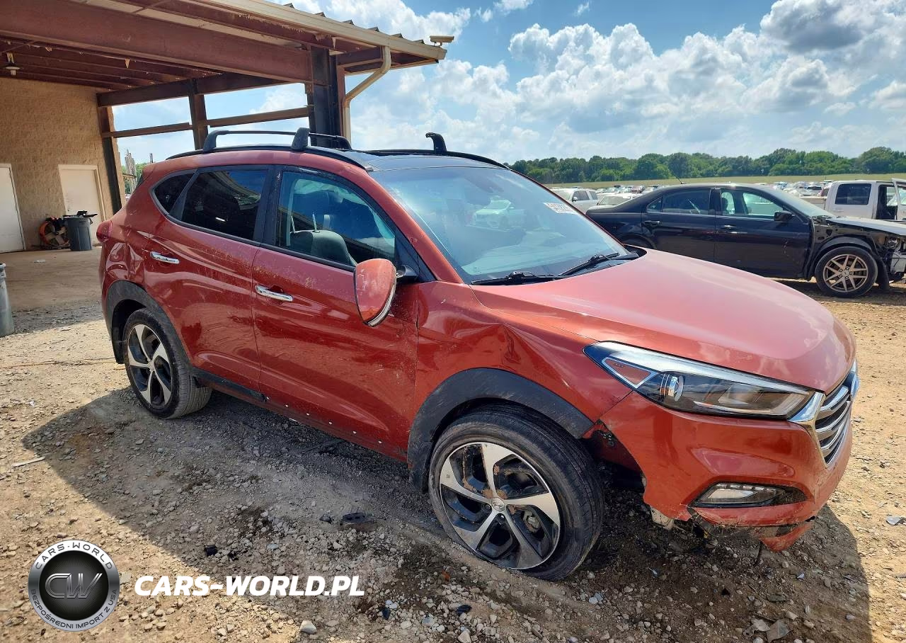 2016 Hyundai Tucson Limited VIN:KM8J33A2XGU144926 - 4