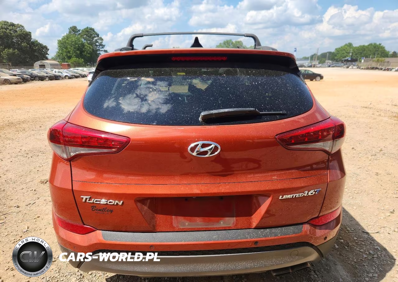 2016 Hyundai Tucson Limited VIN:KM8J33A2XGU144926 - 6