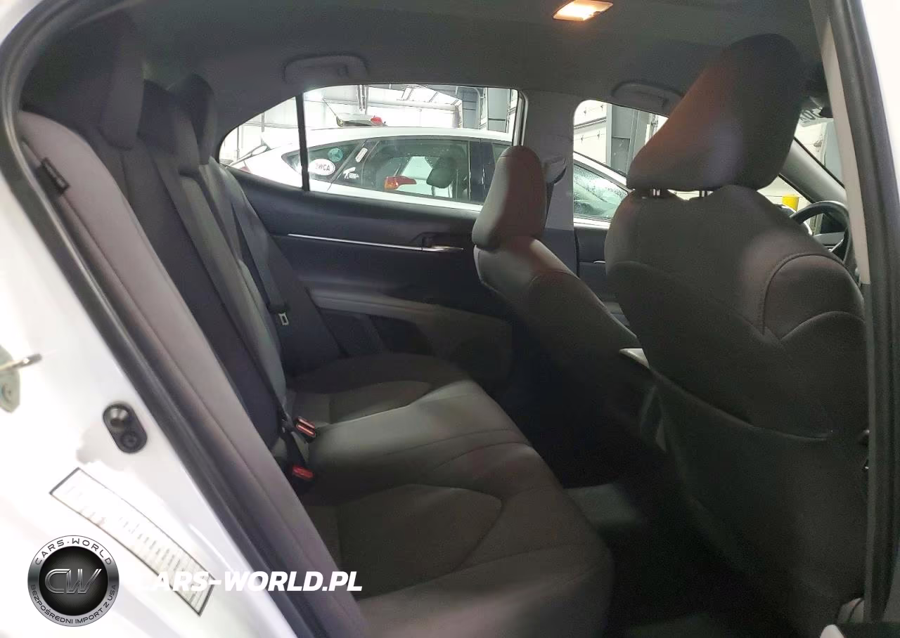 2020 Toyota Camry Le VIN:4T1C11AK1LU343828 - 10