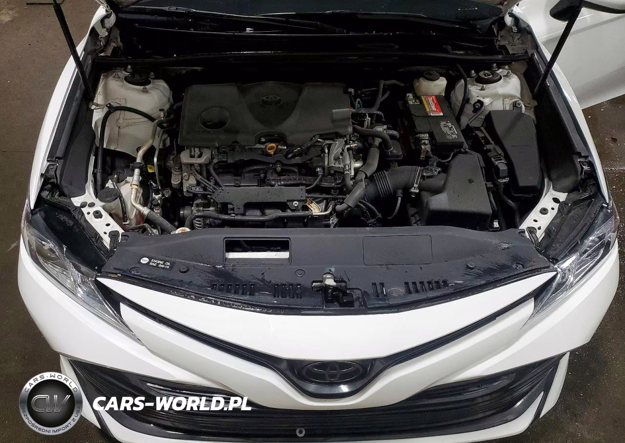2020 Toyota Camry Le VIN:4T1C11AK1LU343828 - 11