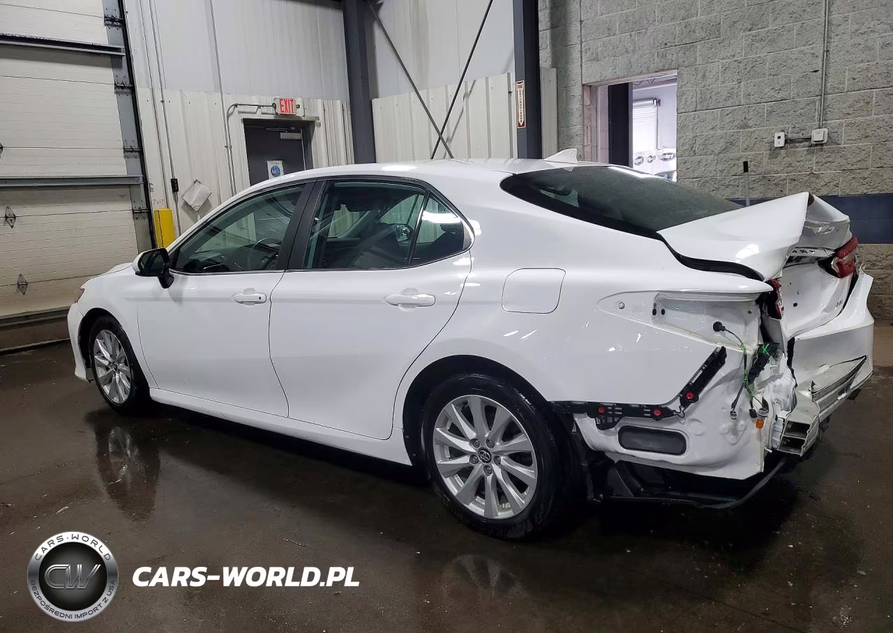 2020 Toyota Camry Le VIN:4T1C11AK1LU343828 - 2