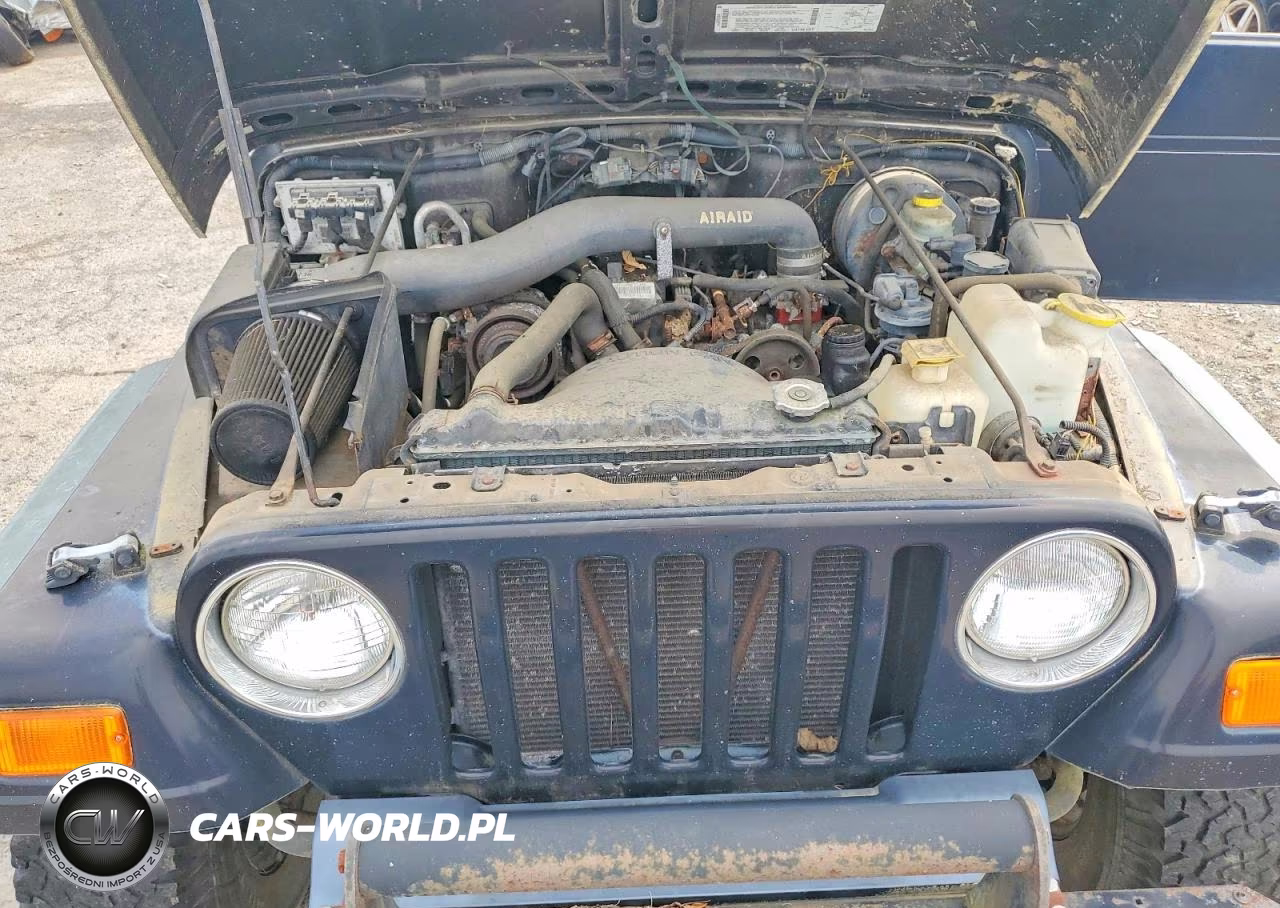 2000 Jeep Wrangler - Tj Se VIN:1J4FA29P1YP718933 - 11