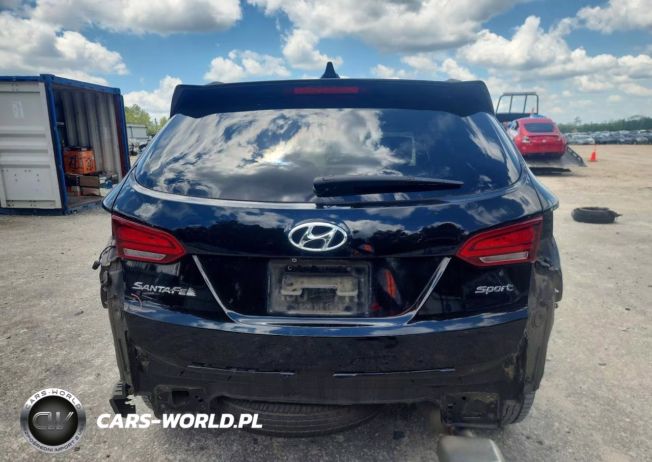 2017 Hyundai Santa Fe Sport VIN:5NMZU3LB3HH017252 - 6