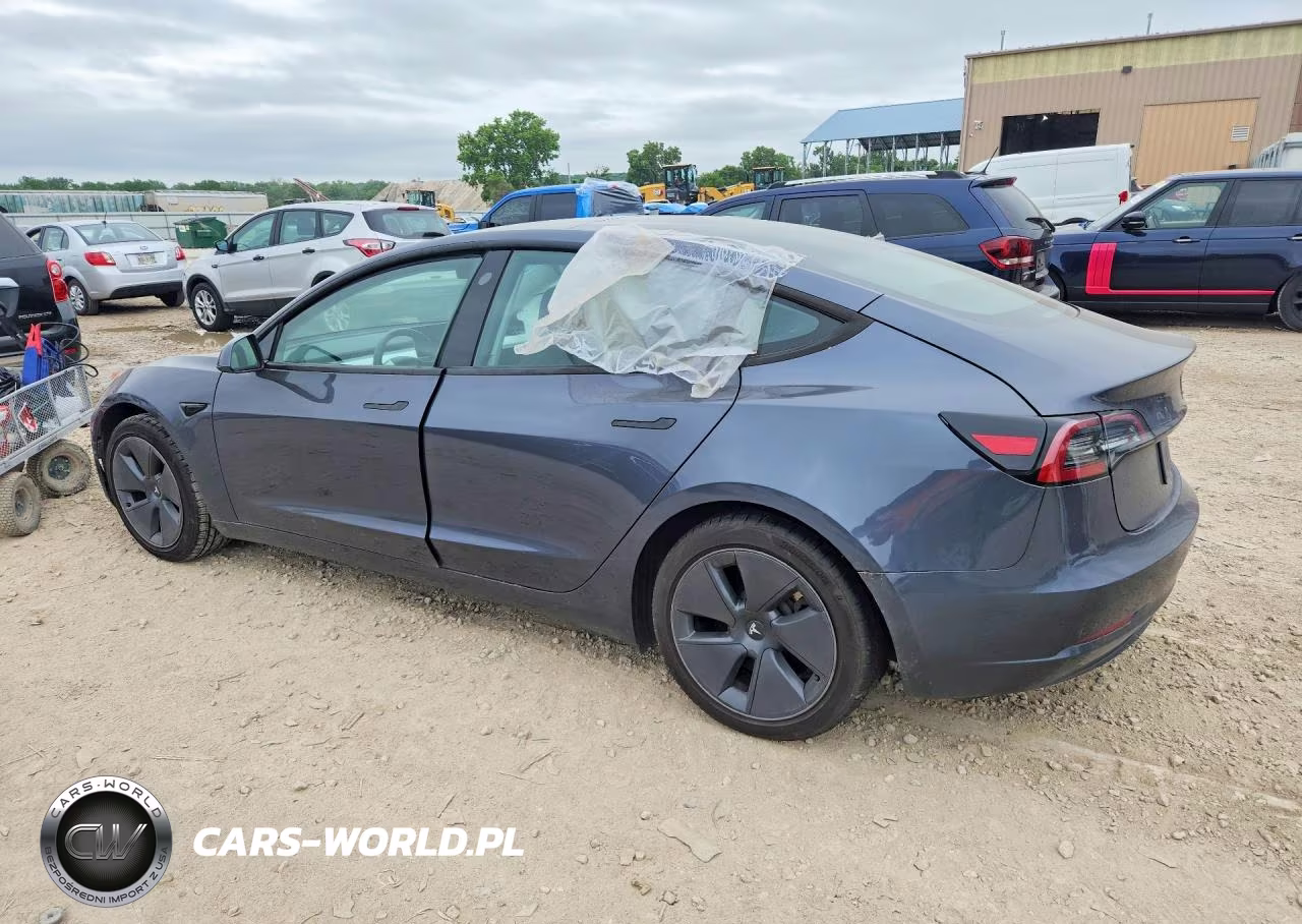 2023 Tesla Model 3 VIN:5YJ3E1EA7PF495024 - 2