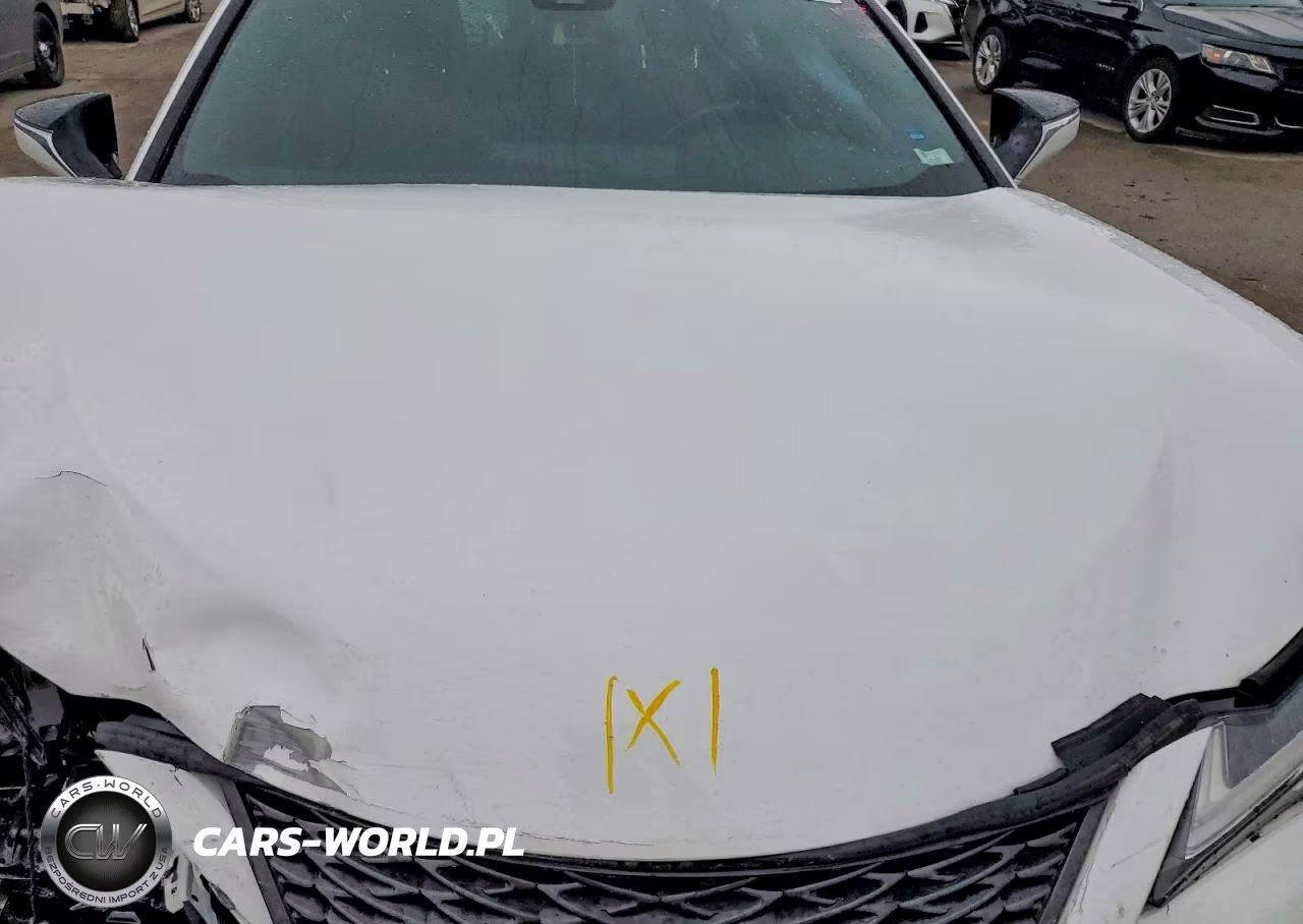 2020 Lexus Ux 250H VIN:JTHR9JBHXL2023251 - 12