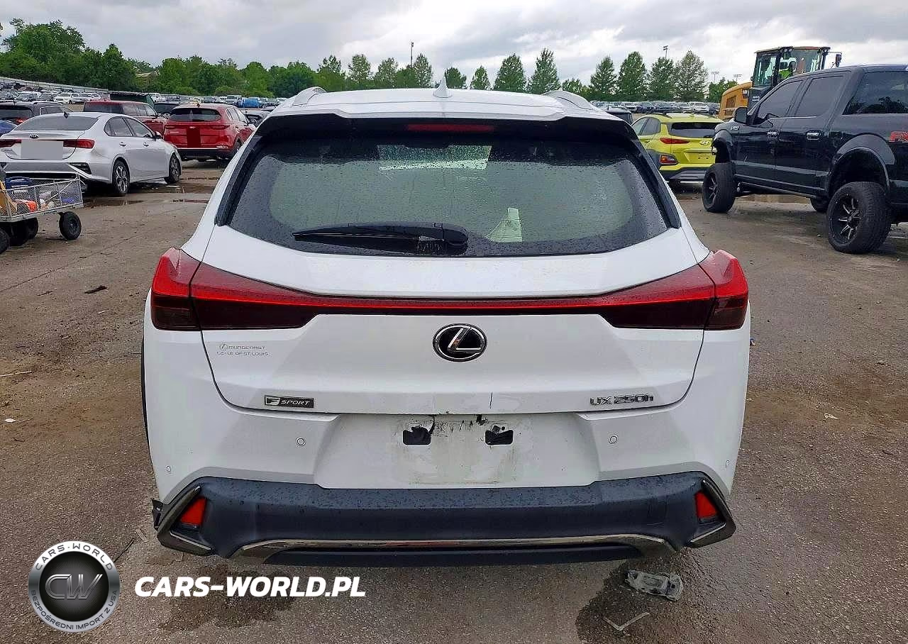 2020 Lexus Ux 250H VIN:JTHR9JBHXL2023251 - 6