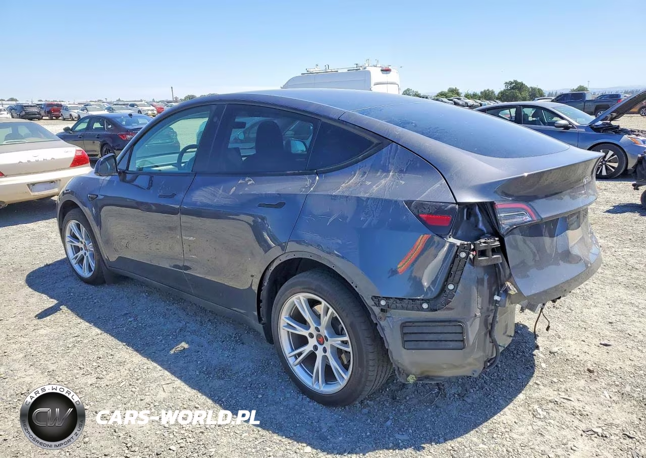 2022 Tesla Model Y VIN:7SAYGDEEXNF561764 - 2