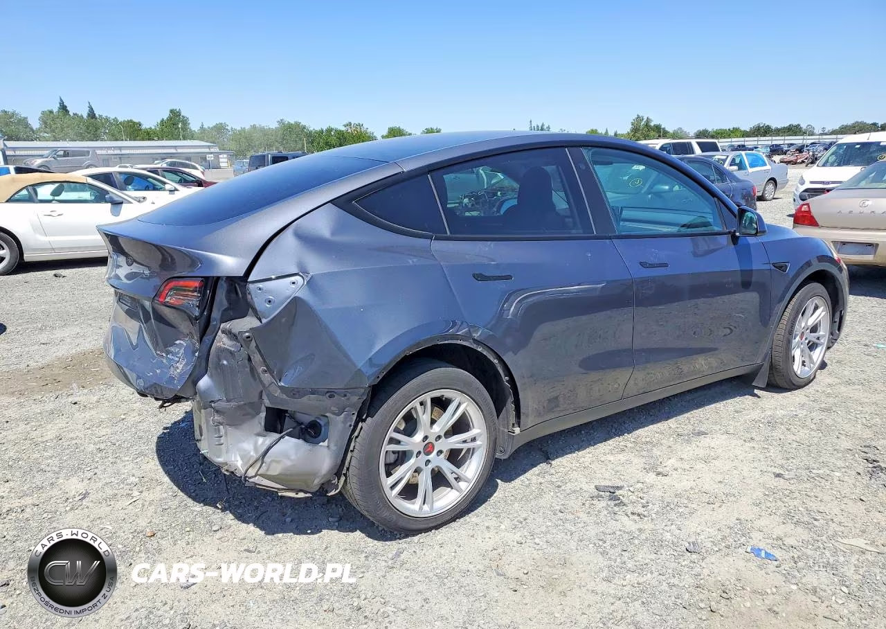 2022 Tesla Model Y VIN:7SAYGDEEXNF561764 - 3