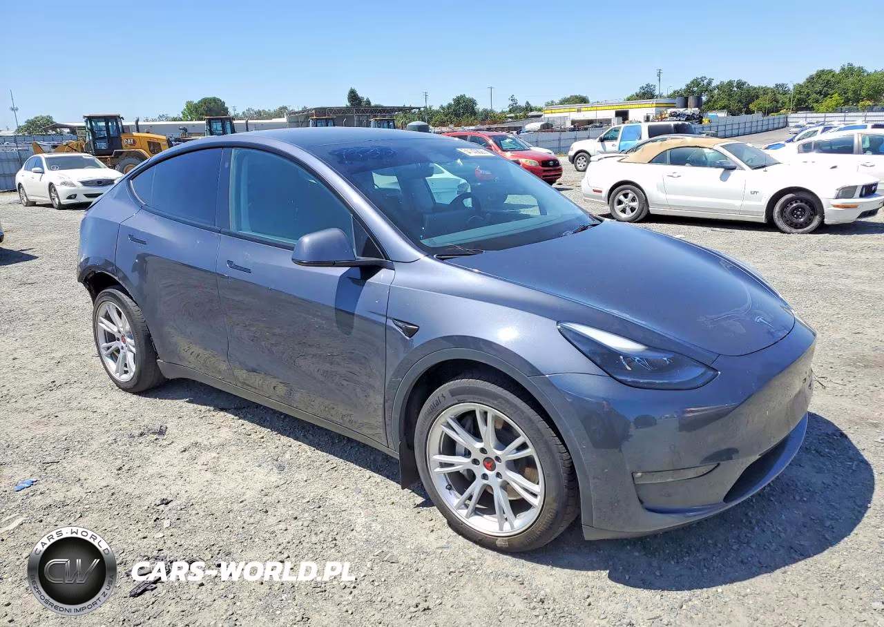 2022 Tesla Model Y VIN:7SAYGDEEXNF561764 - 4