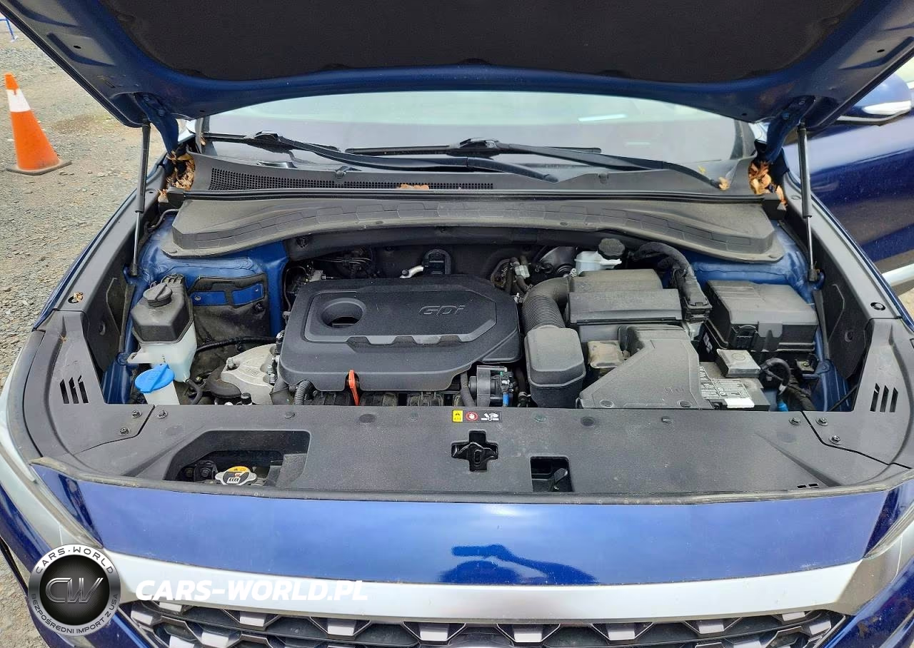 2019 Hyundai Santa Fe Ultimate 2.4L VIN:5NMS5CAD2KH120205 - 12