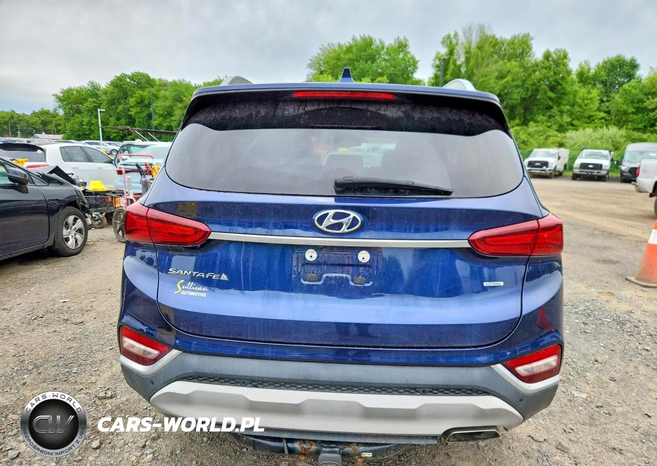 2019 Hyundai Santa Fe Ultimate 2.4L VIN:5NMS5CAD2KH120205 - 6