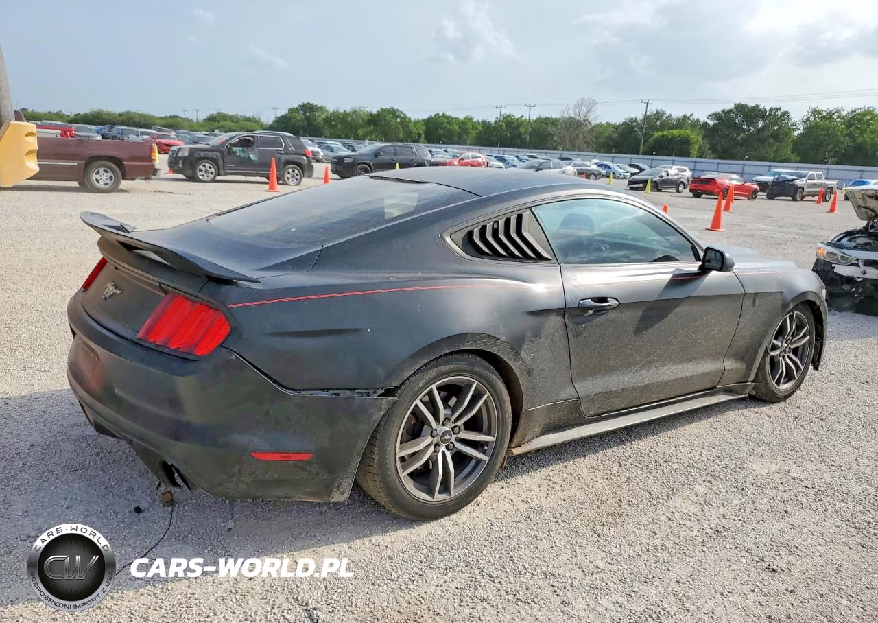 2016 Ford Mustang VIN:1FA6P8TH4G5317420 - 3