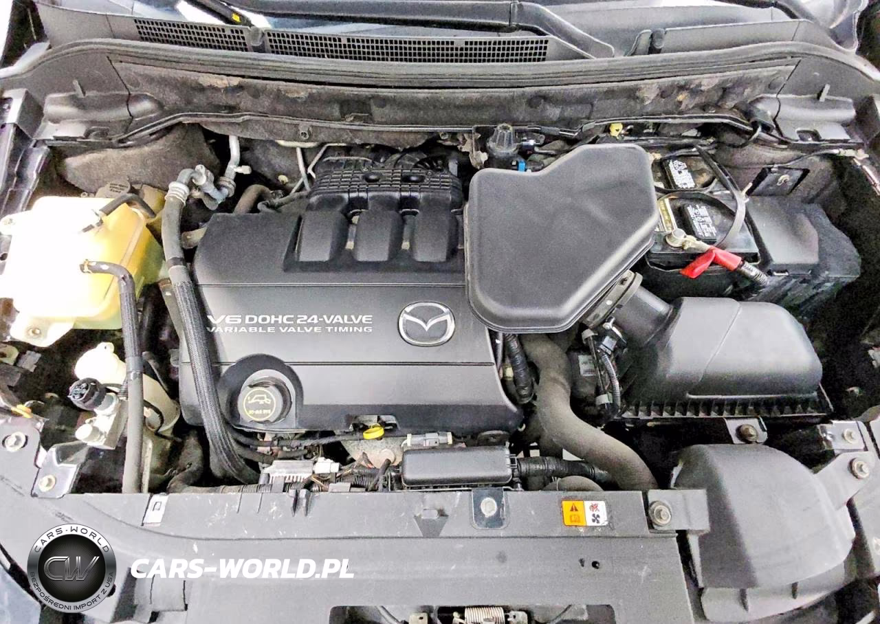 2008 Mazda Cx-9 VIN:JM3TB38A980163741 - 12