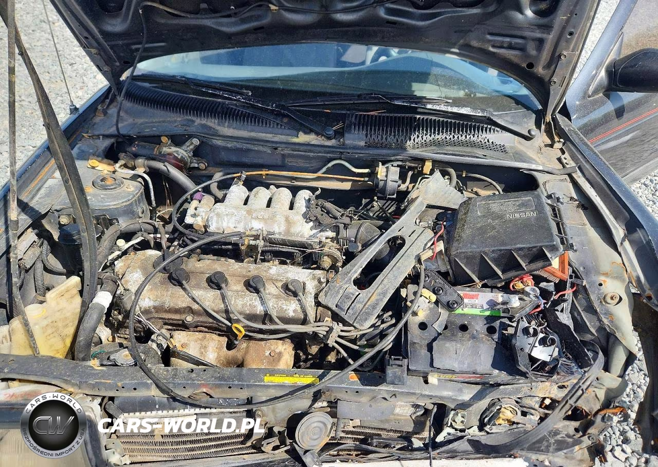1994 Nissan Sentra E VIN:1N4EB31P2RC776998 - 11