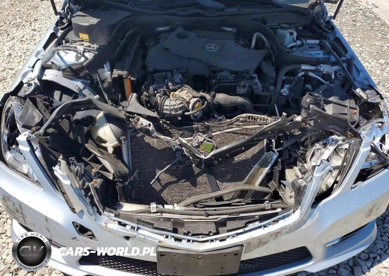 2013 Mercedes-Benz E 350 4Matic VIN:WDDHF8JB2DA768455 - 11
