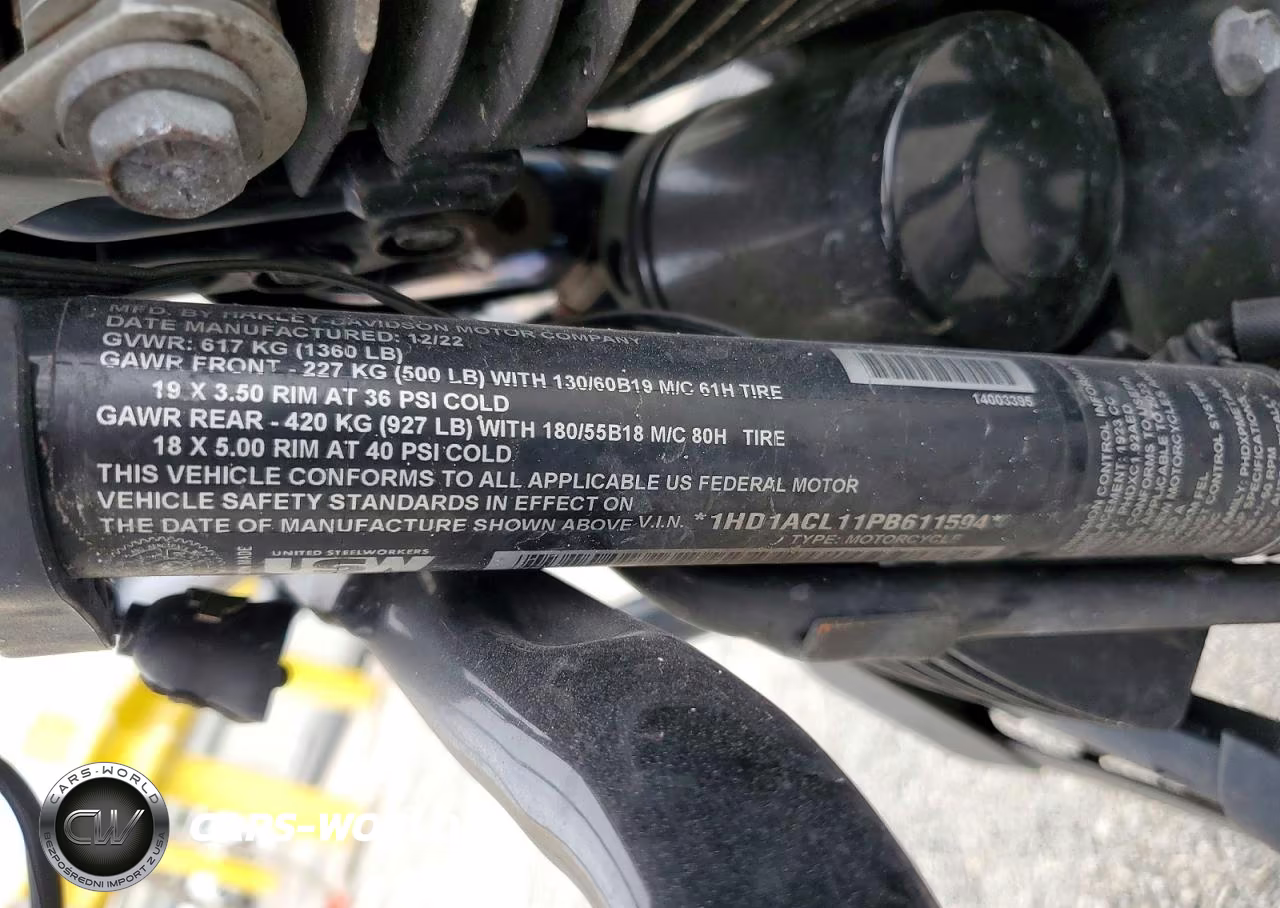 2023 Harley-Davidson Flt VIN:1HD1ACL11PB611594 - 9