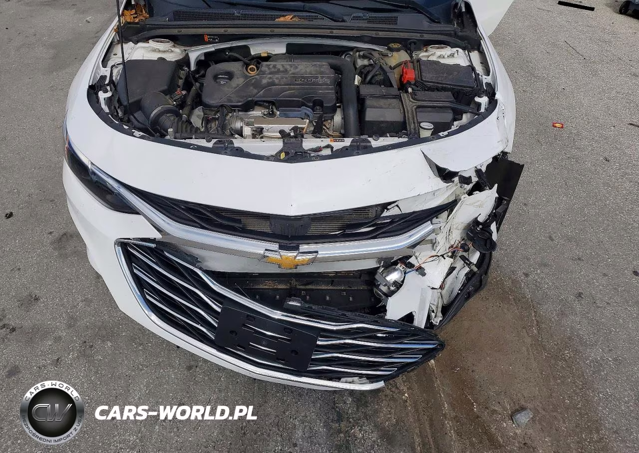 2019 Chevrolet Malibu Lt VIN:1G1ZD5ST6KF115209 - 11