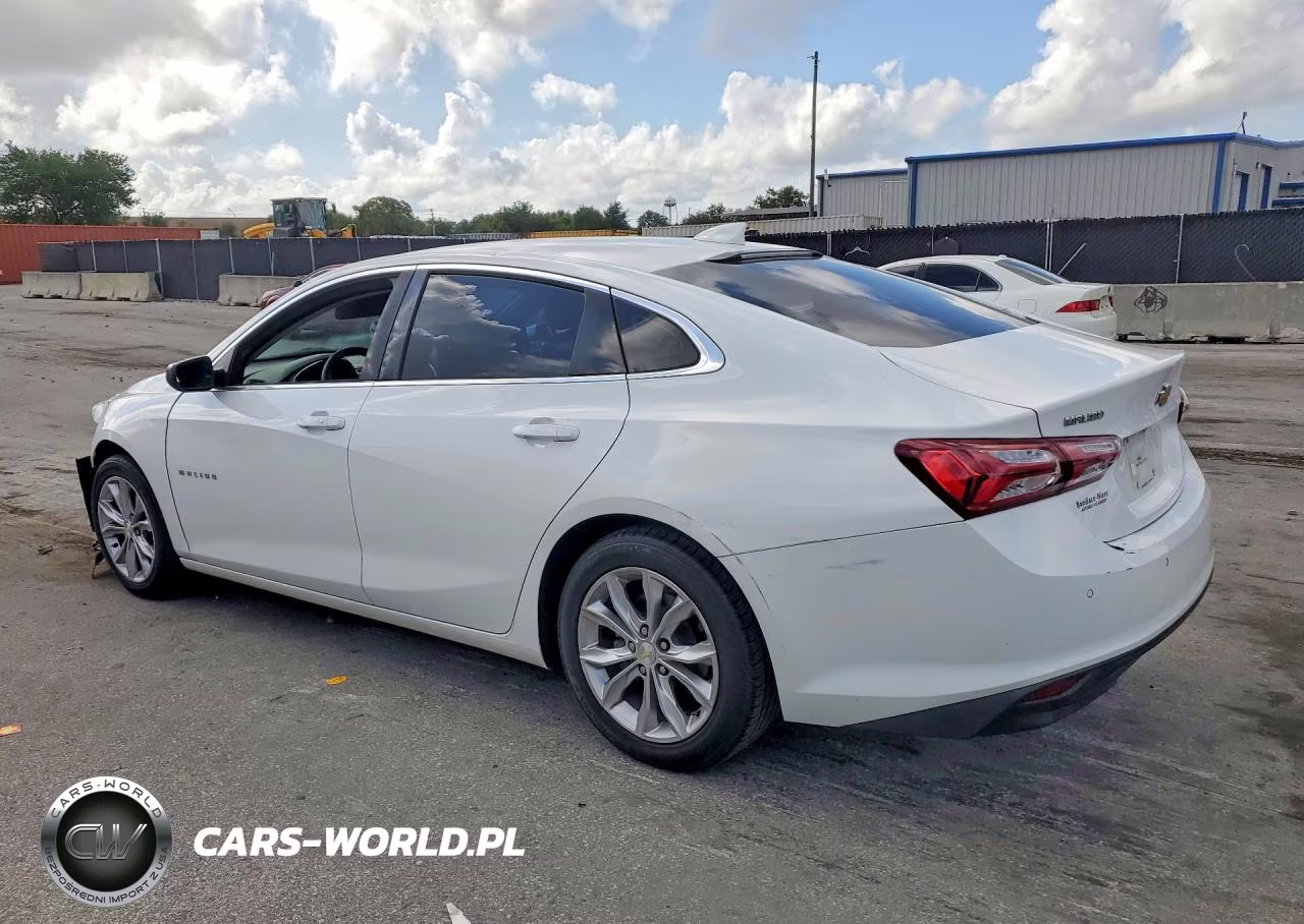 2019 Chevrolet Malibu Lt VIN:1G1ZD5ST6KF115209 - 2