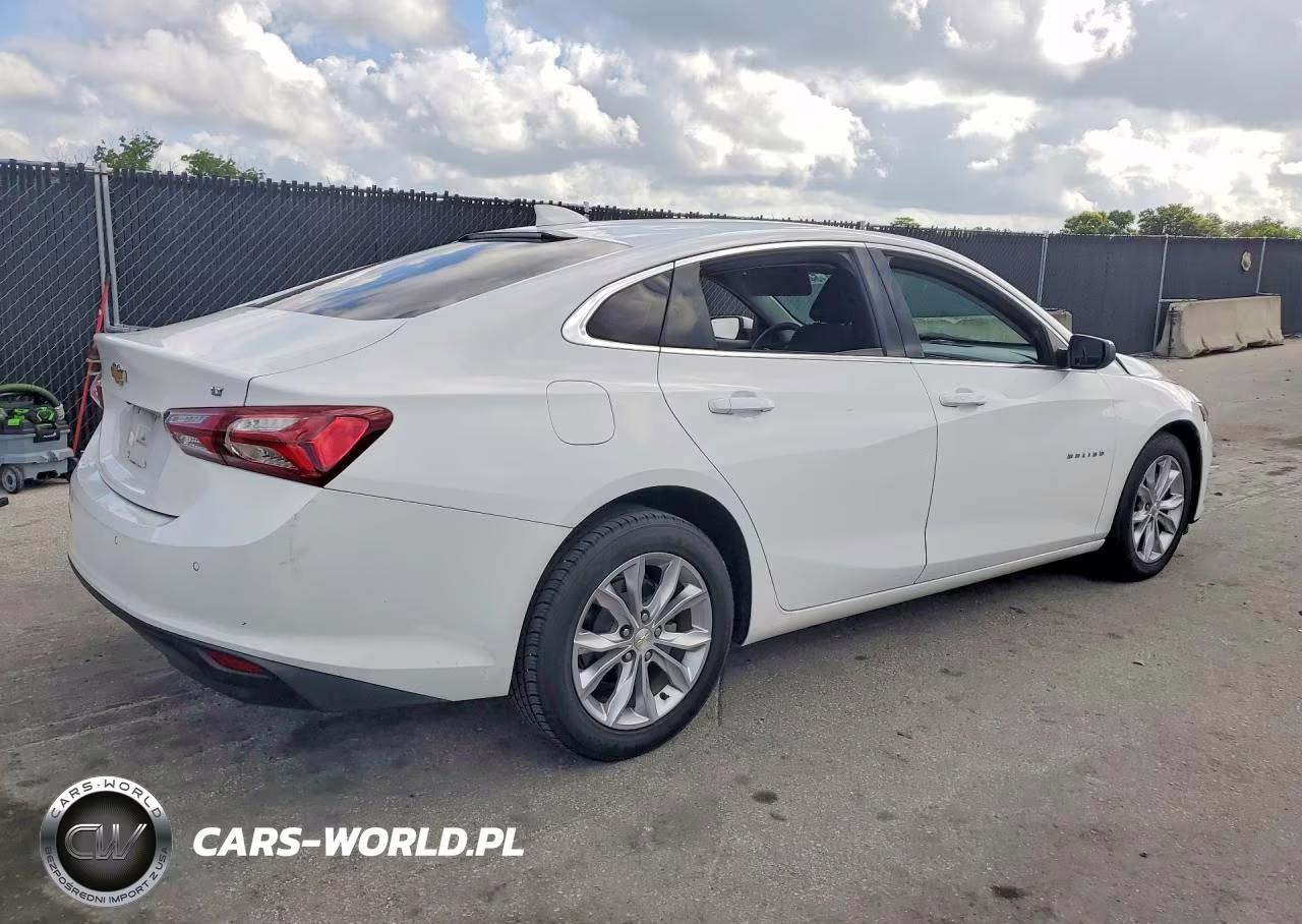 2019 Chevrolet Malibu Lt VIN:1G1ZD5ST6KF115209 - 3