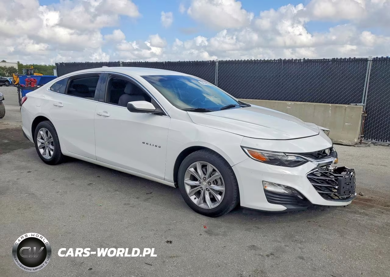 2019 Chevrolet Malibu Lt VIN:1G1ZD5ST6KF115209 - 4