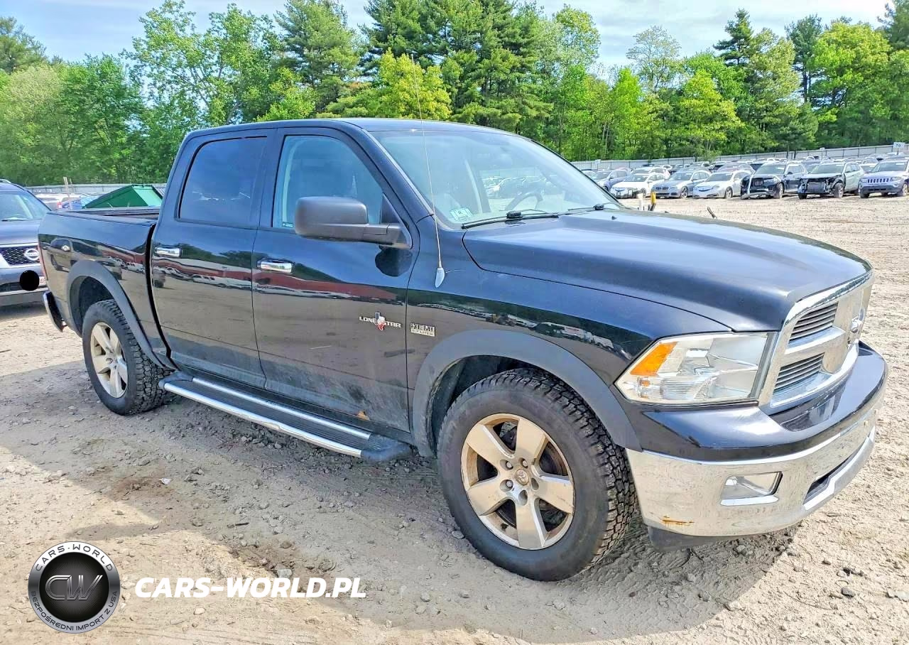 2012 Dodge Ram 1500 Slt VIN:1C6RD7LT6CS318456 - 4
