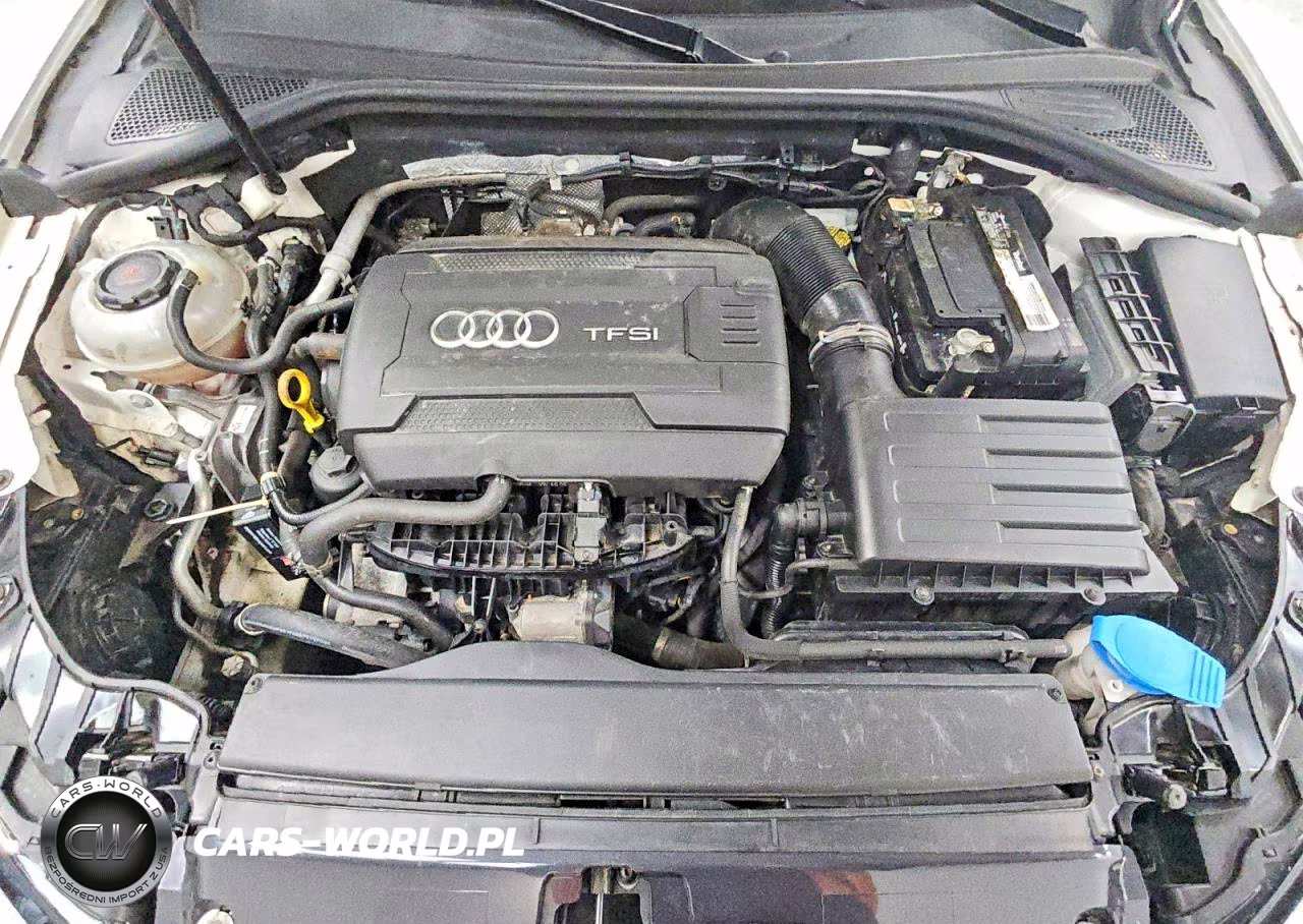 2019 Audi A3 Premium VIN:WAUBEGFF3KA080936 - 11