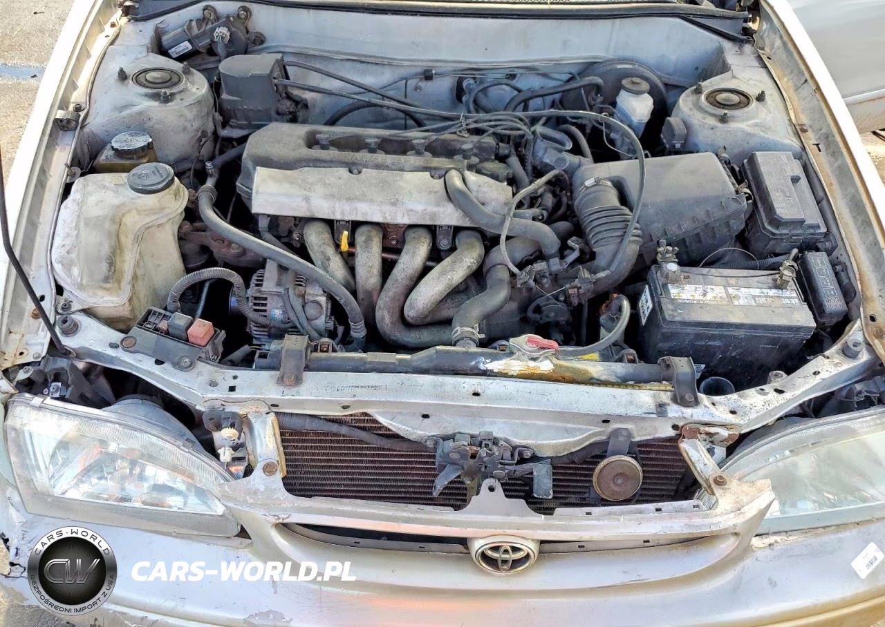 1999 Toyota Corolla Ve VIN:1NXBR12E6XZ235384 - 11