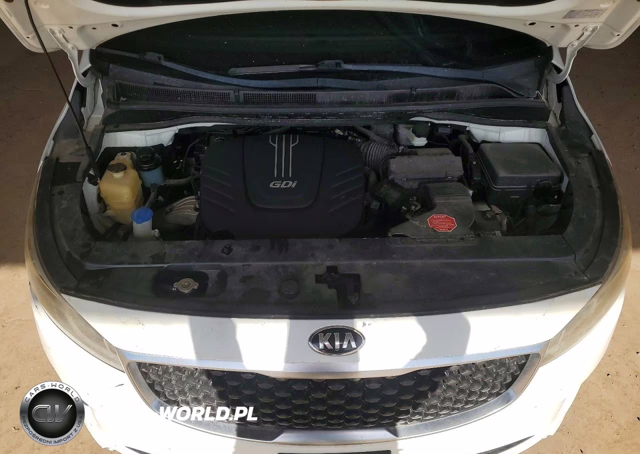 2016 Kia Sedona Lx VIN:KNDMB5C12G6098677 - 12