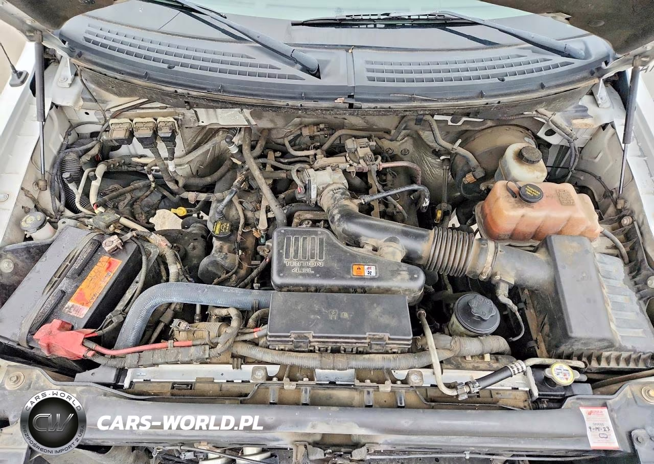 2010 Ford F150 VIN:1FTMF1CW7AKB55320 - 11