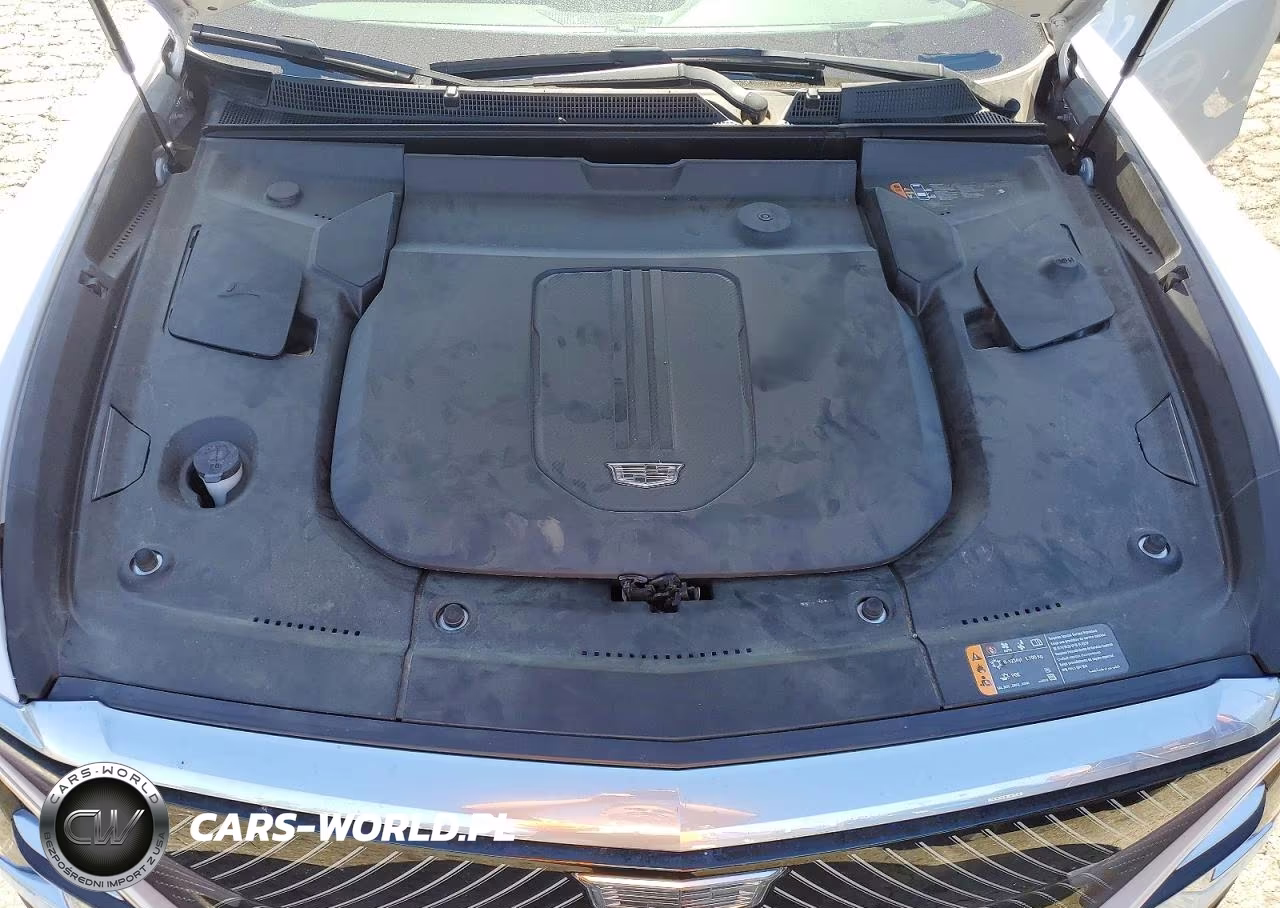 2024 Cadillac Lyriq Luxury VIN:1GYKPSRK8RZ120930 - 12