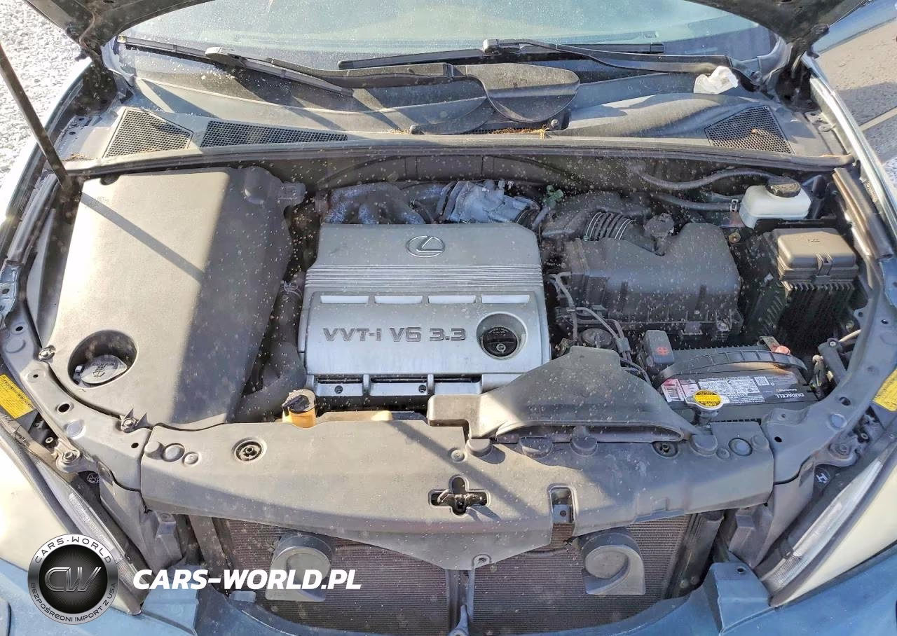 2004 Lexus Rx 330 VIN:2T2GA31U44C018801 - 12
