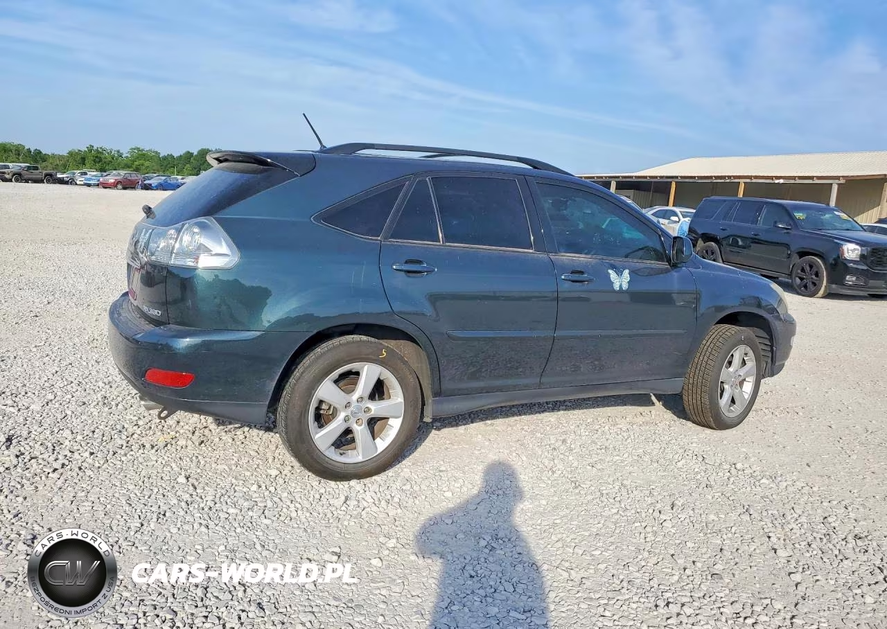2004 Lexus Rx 330 VIN:2T2GA31U44C018801 - 3