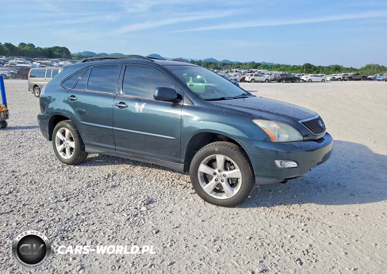 2004 Lexus Rx 330 VIN:2T2GA31U44C018801 - 4
