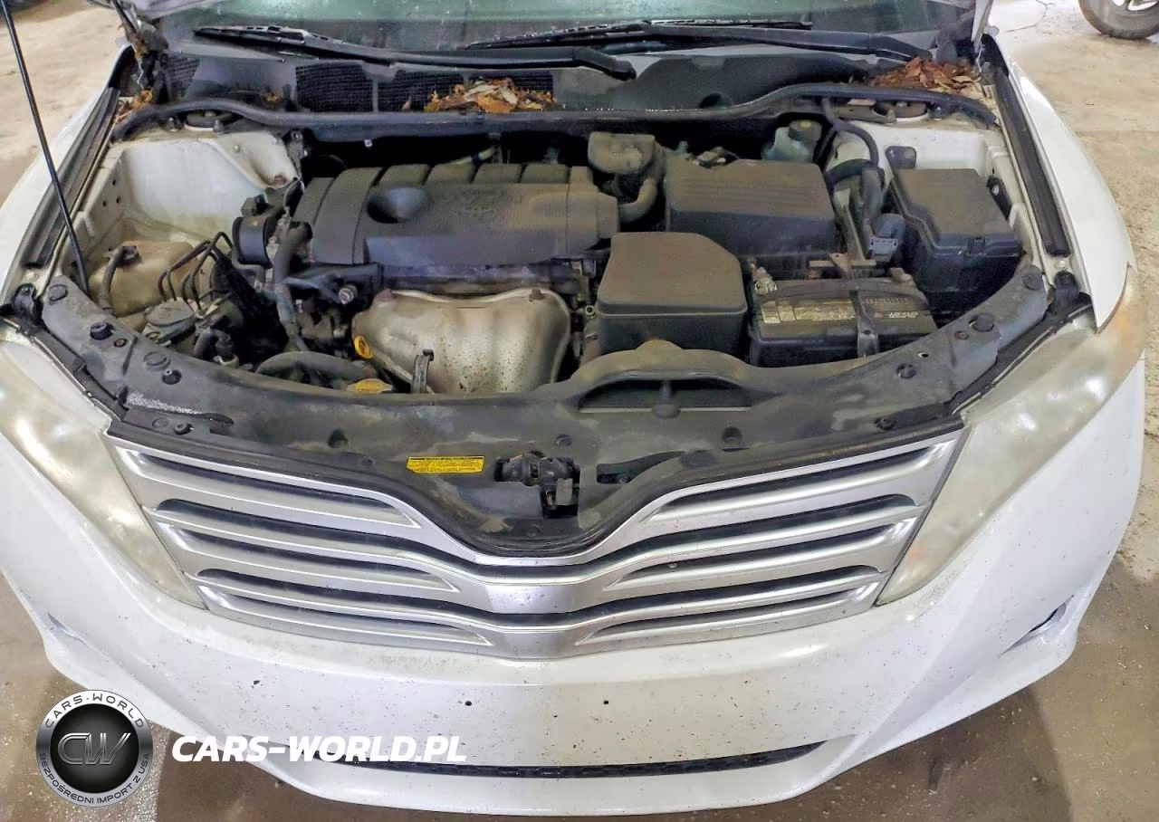 2010 Toyota Venza Awd 4Cyl VIN:4T3BA3BBXAU012918 - 12