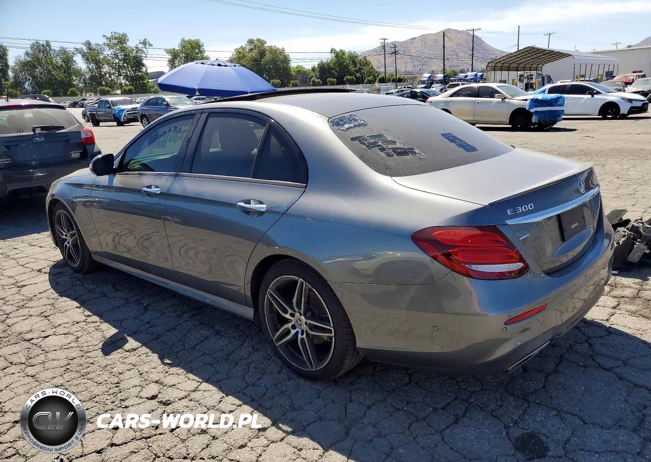 2019 Mercedes-Benz E 300 VIN:WDDZF4JB3KA631096 - 2