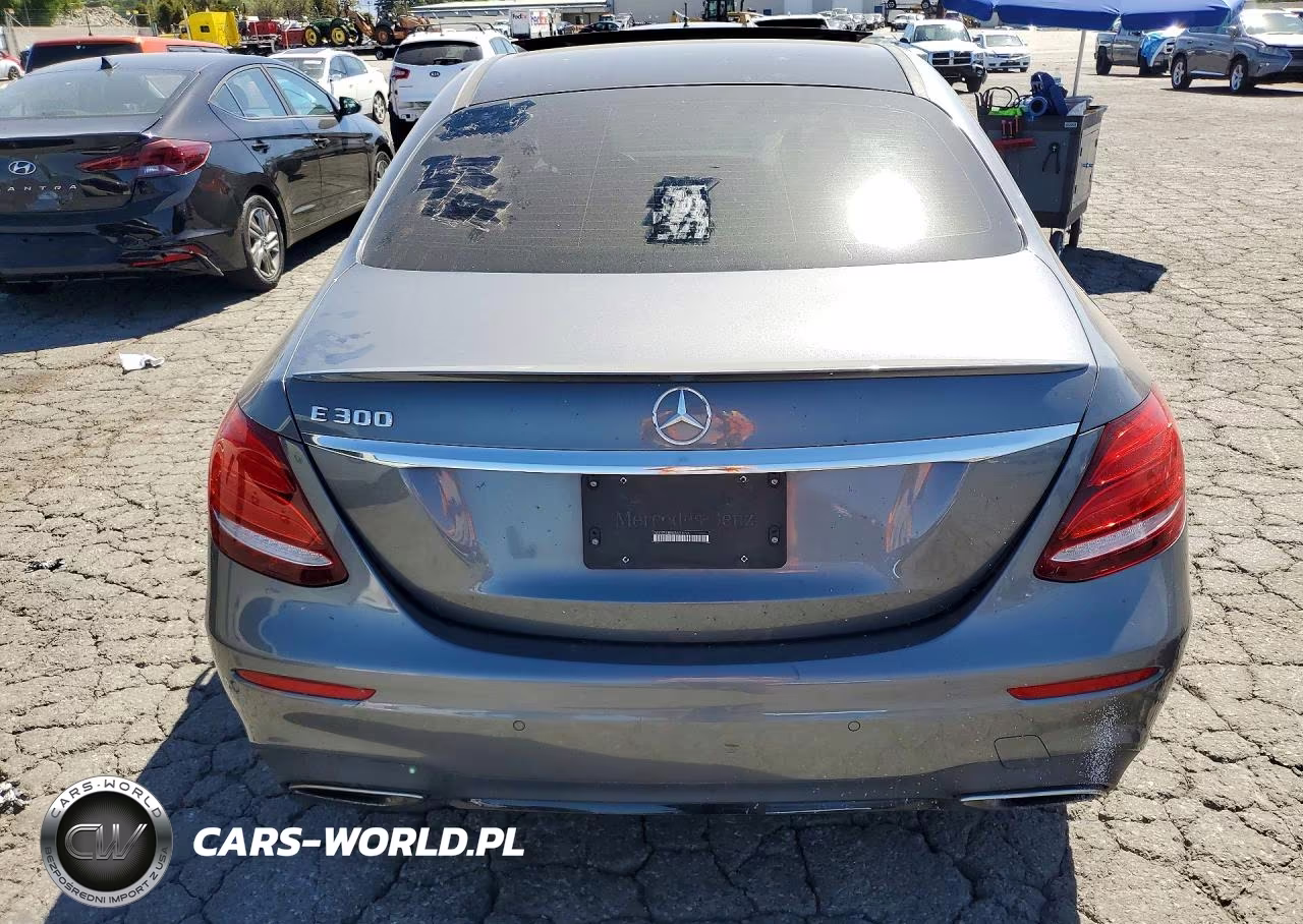 2019 Mercedes-Benz E 300 VIN:WDDZF4JB3KA631096 - 6